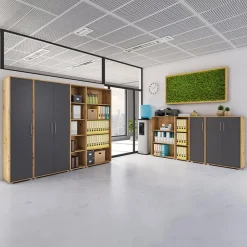 Armadio ufficio 79x188 cm 2 ante rovere grafite Woody