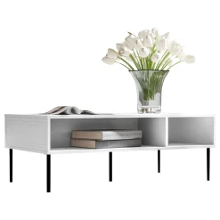 Tavolino da salotto 110x40cm 2 vani bianco opaco Stark